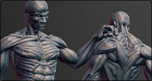  ZBrush